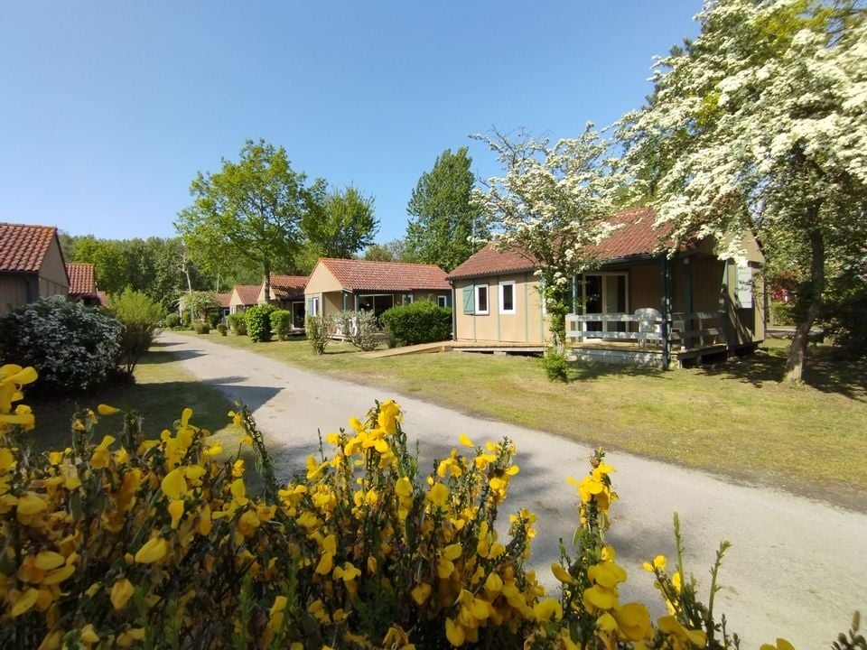 Camping l’Orée du Bois