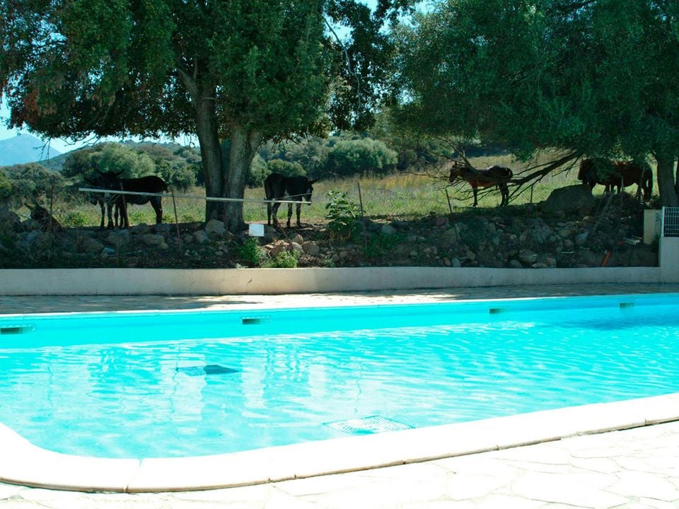 Camping U Sommalu