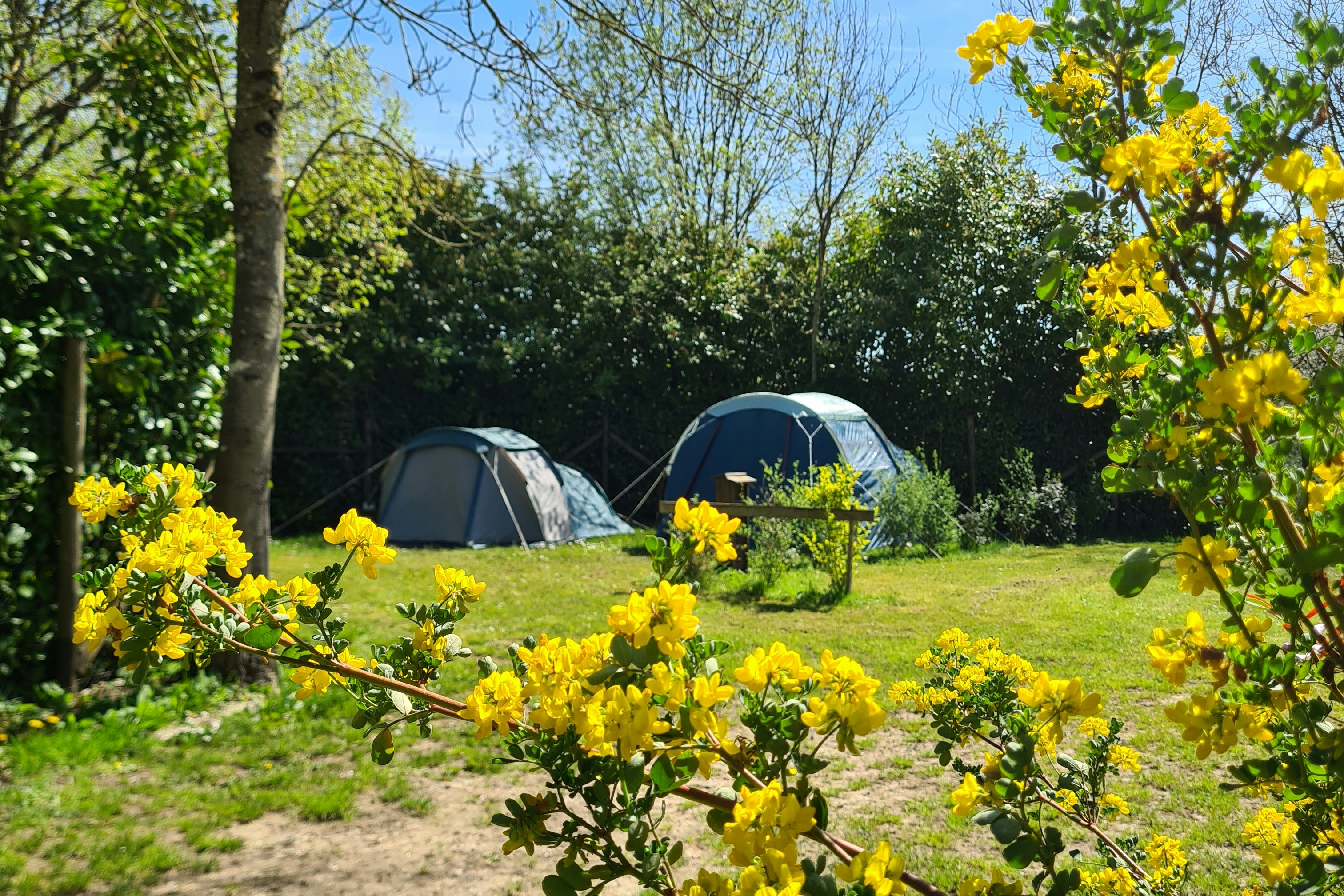 Camping Du Perche